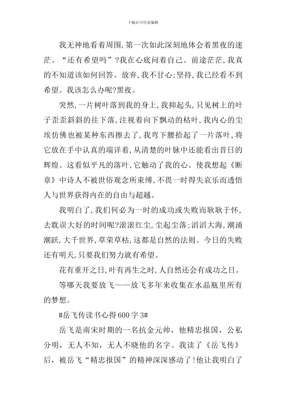 岳飞传读书心得体会600字范文_第3页