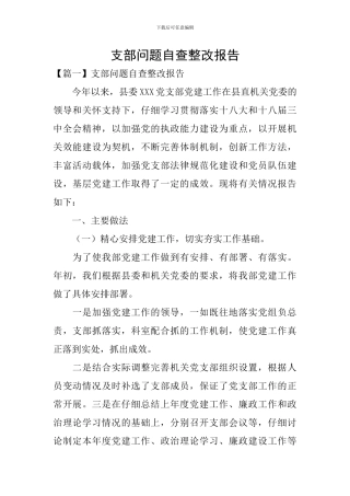 支部问题自查整改报告