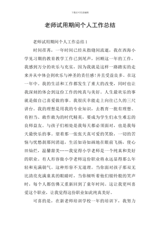 教师试用期间个人工作总结