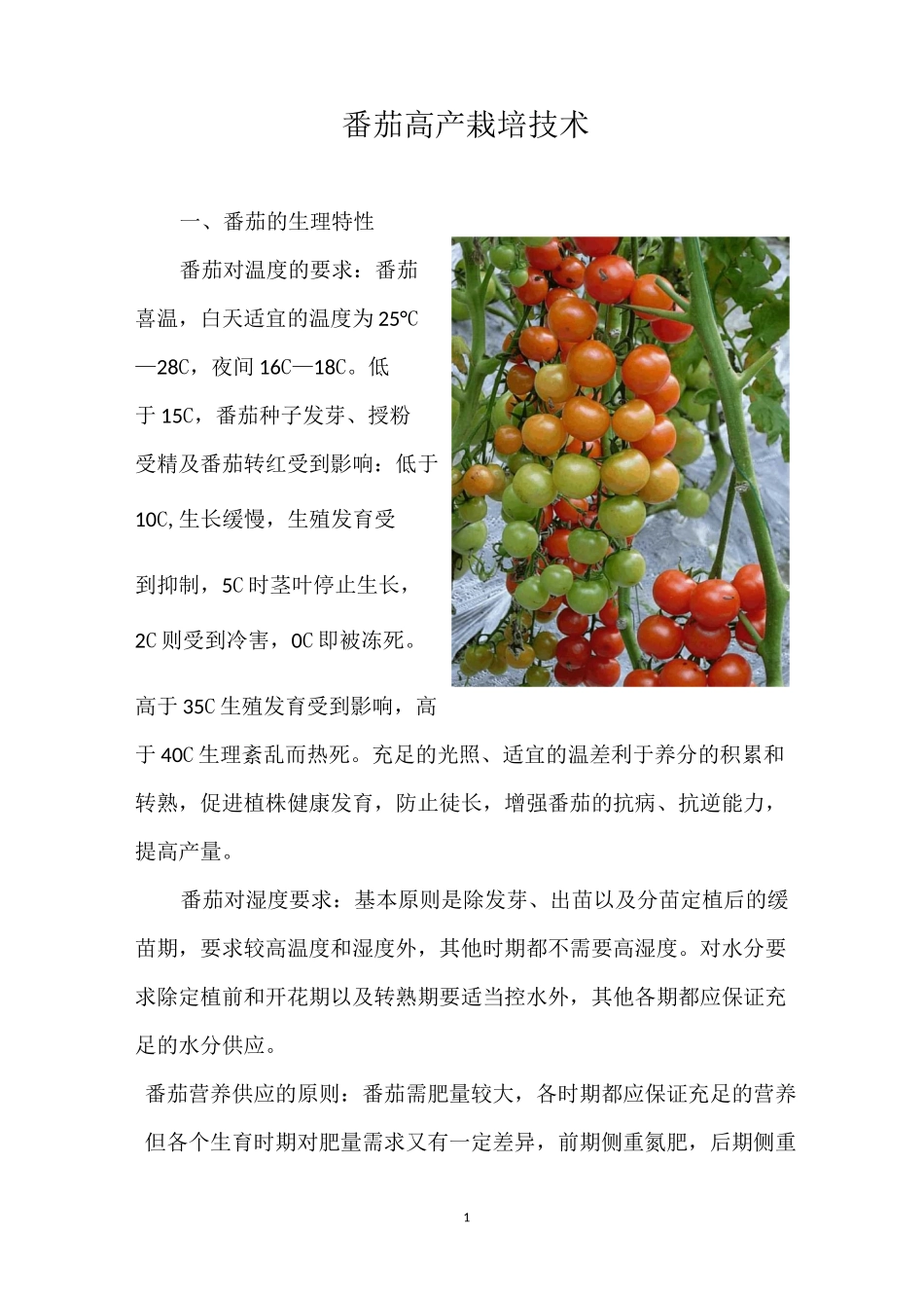 番茄高产栽培技术_第1页