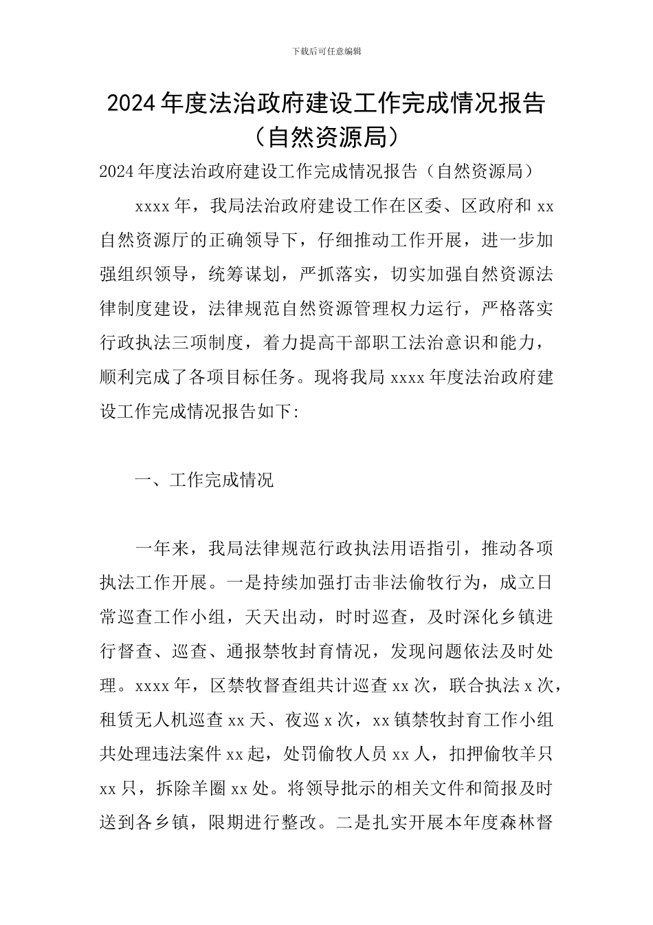2024年度法治政府建设工作完成情况报告_第1页