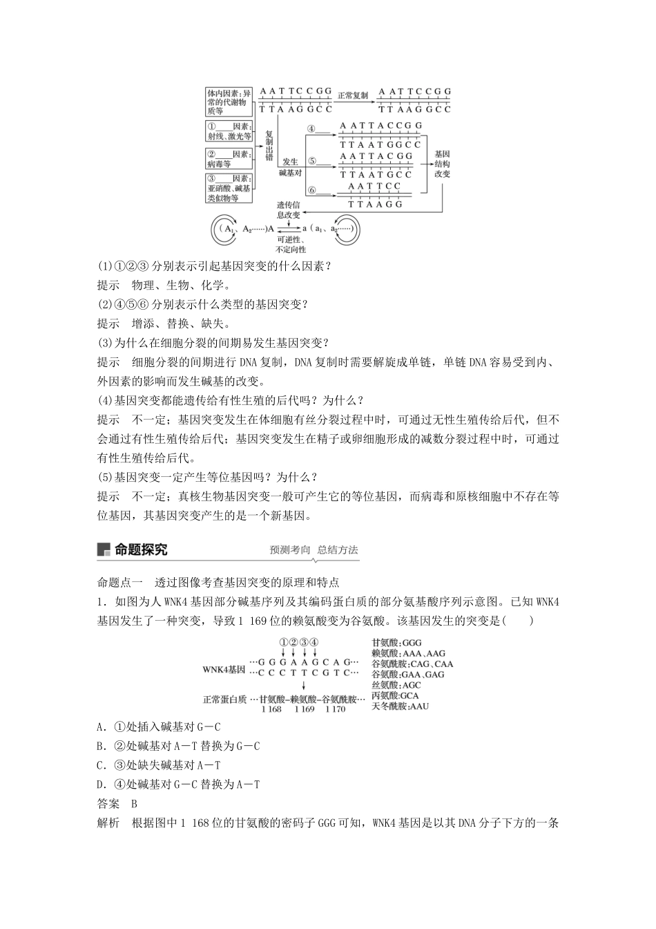 高考生物大一轮复习 第七单元 生物的变异、育种和进化 第20讲 基因突变和基因重组学案-人教版高三全册生物学案_第3页