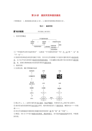 高考生物大一轮复习 第七单元 生物的变异、育种和进化 第20讲 基因突变和基因重组学案-人教版高三全册生物学案