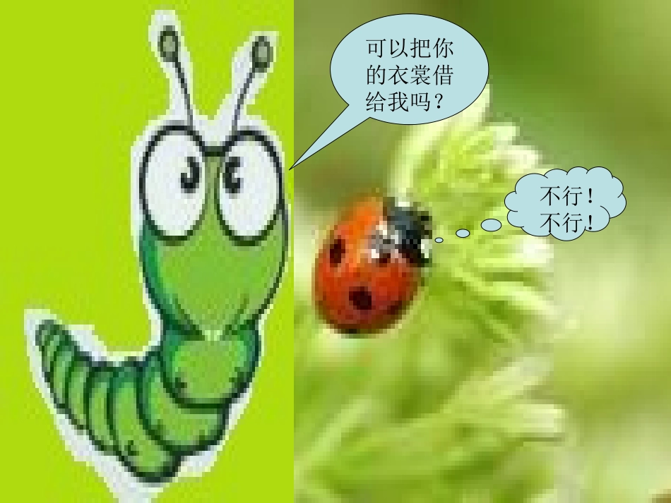 漂亮的花衣裳鸭_第2页