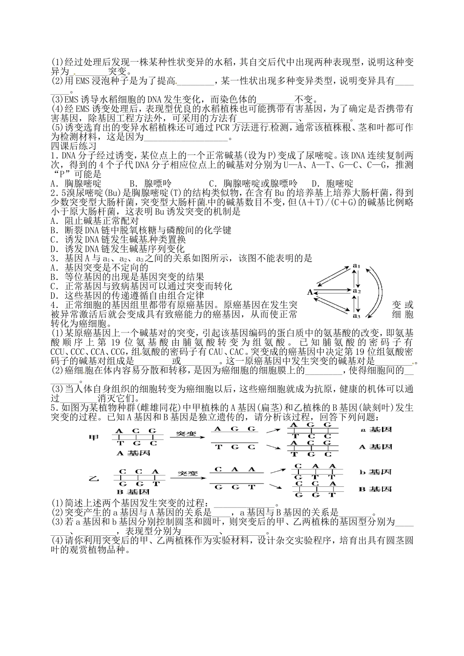 高考生物一轮复习 基因突变和基因重组学案 苏教版必修2-苏教版高三必修2生物学案_第3页