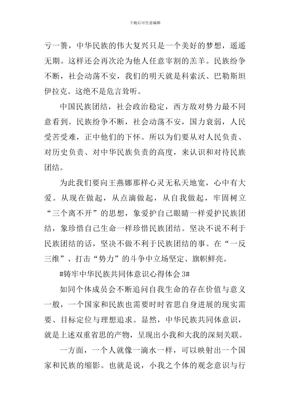 铸牢中华民族共同体意识心得作文5篇_第3页