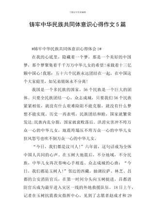 铸牢中华民族共同体意识心得作文5篇