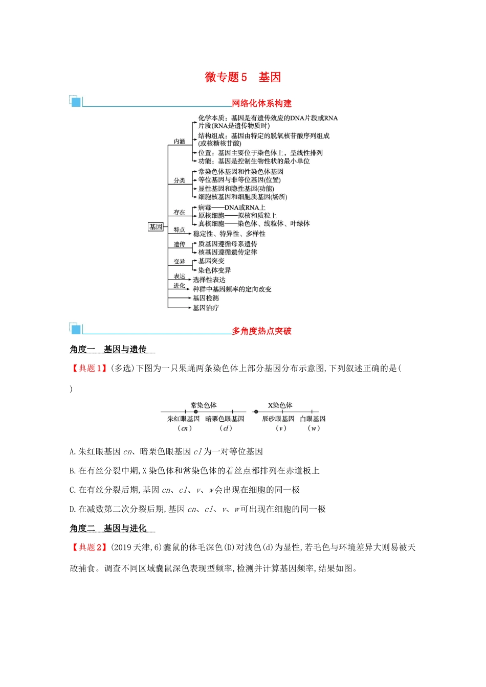 高考生物二轮复习 微专题5 基因学案-人教版高三全册生物学案_第1页