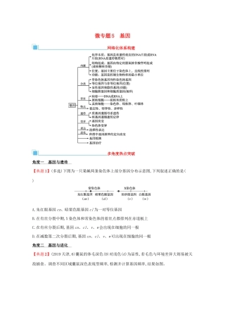 高考生物二轮复习 微专题5 基因学案-人教版高三全册生物学案