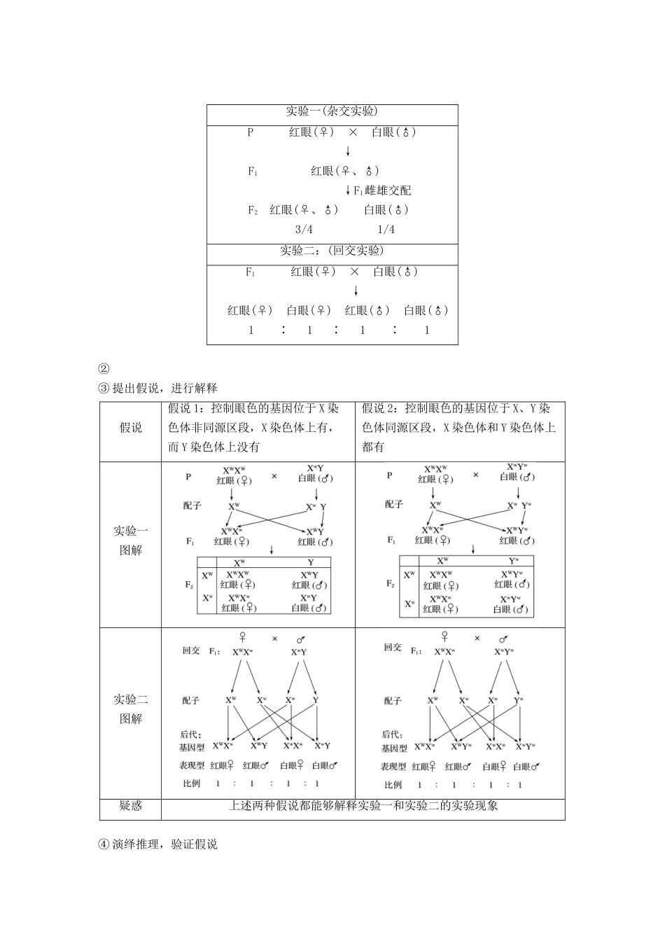 高考生物大一轮复习 第五单元 遗传的基本规律和人类遗传病 第16讲 基因在染色体上、伴性遗传和人类遗传病学案-人教版高三全册生物学案_第2页