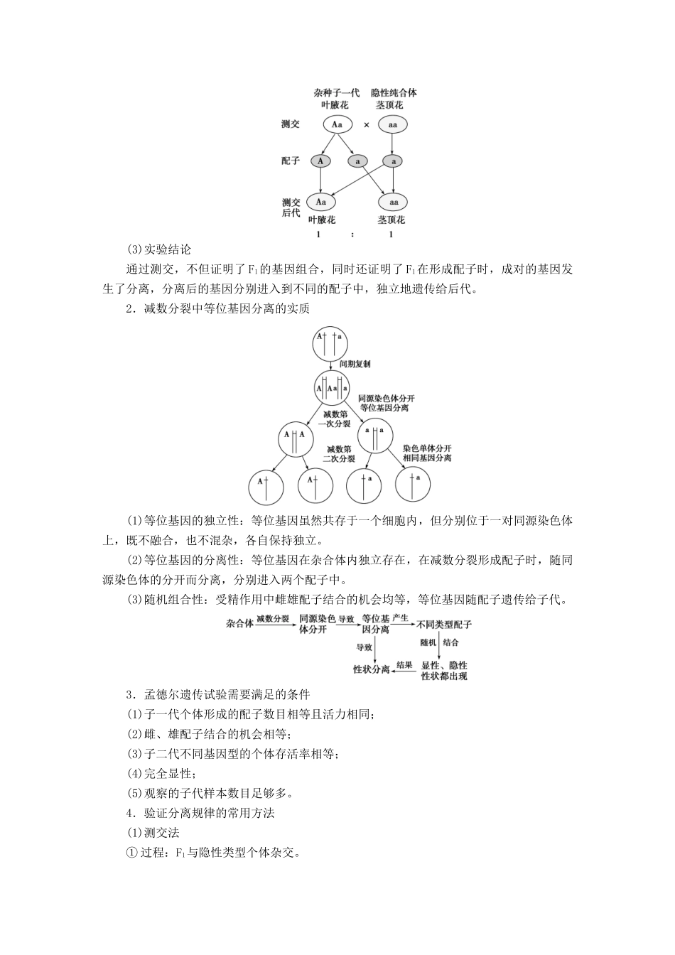 高中生物 第4章 遗传信息的传递规律 第1节 基因的分离规律 第2课时 分离规律的试验与分析（二）、分离规律在育种中的应用学案 北师大版必修2-北师大版高一必修2生物学案_第3页