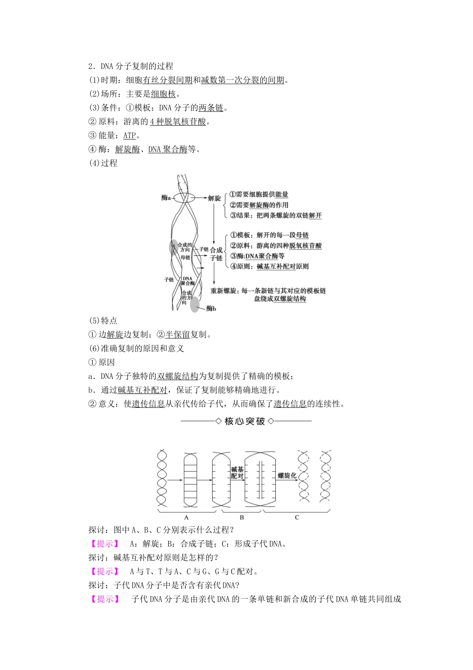 高中生物 第4章 遗传的分子基础 第2节 DNA分子的结构和复制（第2课时）DNA分子的复制学案 苏教版必修2-苏教版高二必修2生物学案_第2页