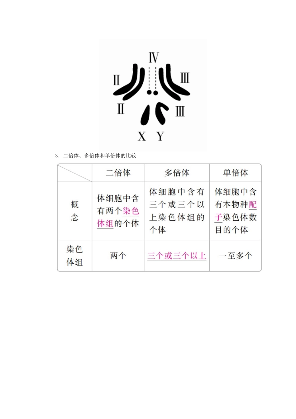 （全国版）高考生物一轮复习 第23讲 染色体变异与育种培优学案-人教版高三全册生物学案_第2页