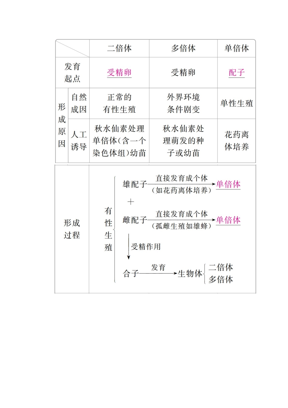 （全国版）高考生物一轮复习 第23讲 染色体变异与育种培优学案-人教版高三全册生物学案_第3页