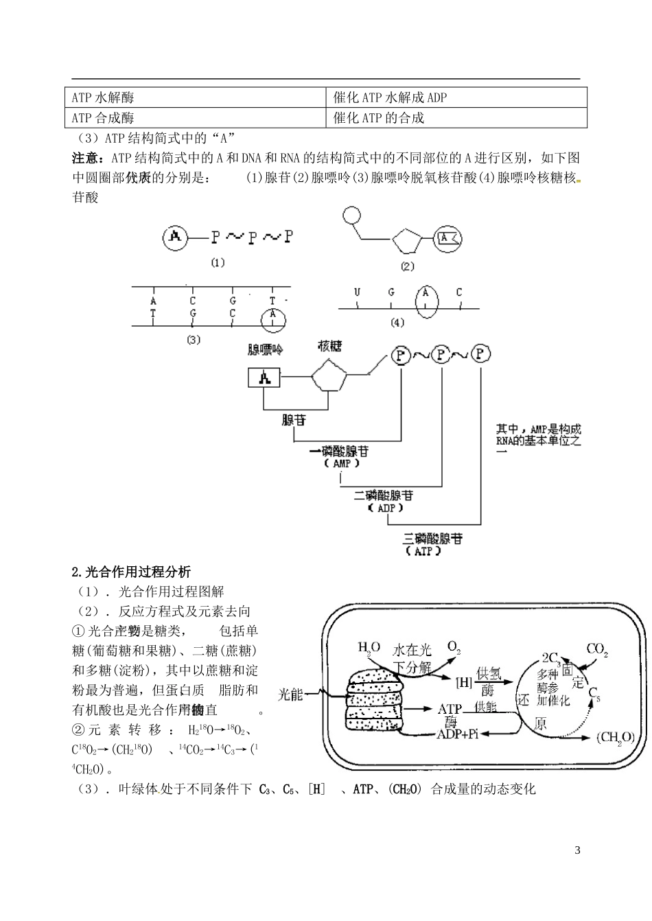 高三生物第二轮复习 专题二 细胞代谢预习案-人教版高三全册生物学案_第3页
