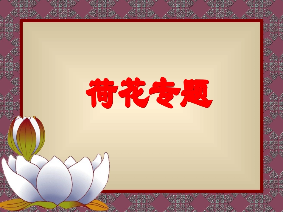 《专题：荷》_第1页