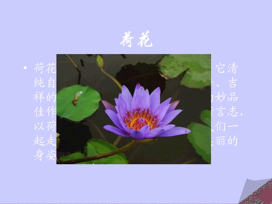 《专题：荷》_第2页