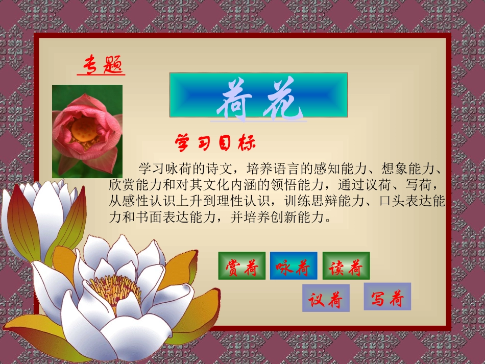 《专题：荷》_第3页