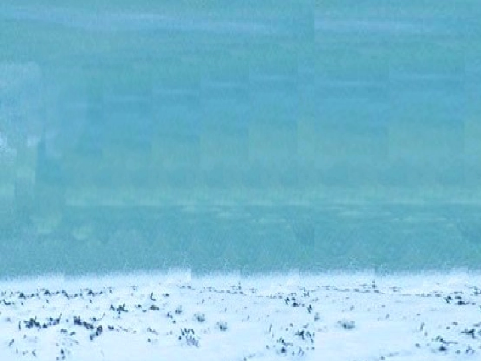 arctic第二课时_第3页