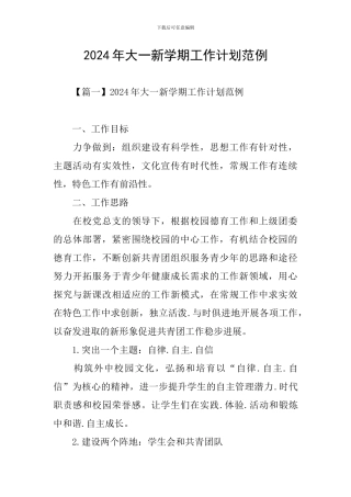 2024年大一新学期工作计划范例