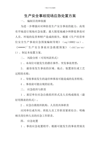 生产安全事故现场应急处置方案