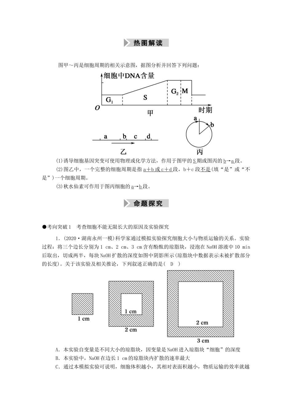 高考生物一轮复习 第四单元 细胞的生命历程 第11讲 细胞的有丝分裂学案 新人教版-新人教版高三全册生物学案_第3页