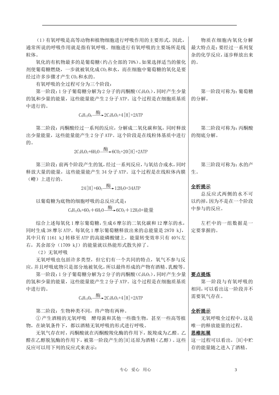 高中生物 3.2.4《从化学能到生物能》（1）学案 中图版必修1_第3页