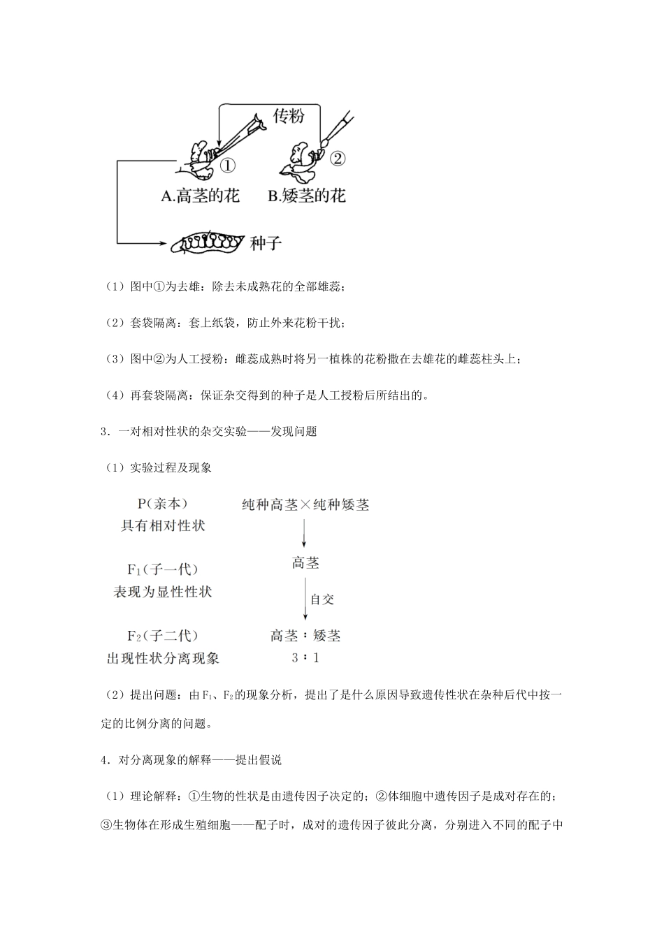 （全国通用）高考生物总复习《孟德尔的豌豆杂交实验（一）》专题突破学案-人教版高三全册生物学案_第2页