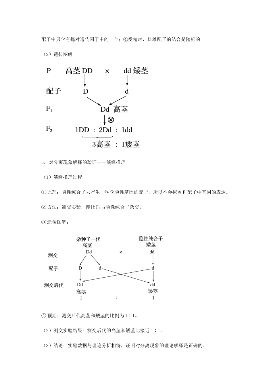（全国通用）高考生物总复习《孟德尔的豌豆杂交实验（一）》专题突破学案-人教版高三全册生物学案_第3页