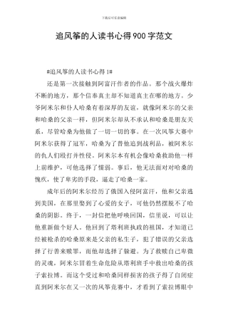 追风筝的人读书心得900字范文