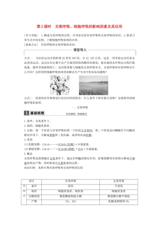 高中生物 第5章 细胞的能量供应和利用 第3节 ATP的主要来源——细胞呼吸（第2课时）学案 新人教版必修1-新人教版高一必修1生物学案