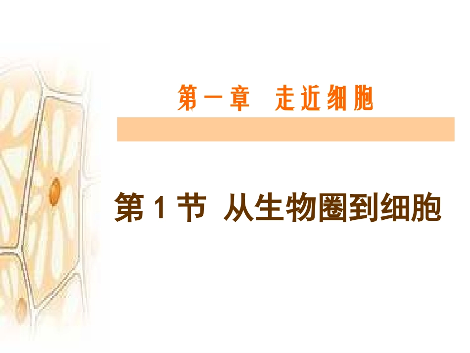从生物圈到细胞第一节走近细胞_第1页