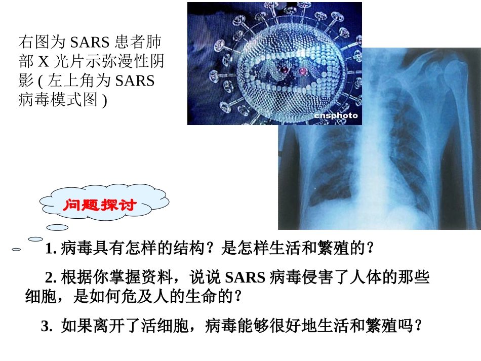 从生物圈到细胞第一节走近细胞_第3页