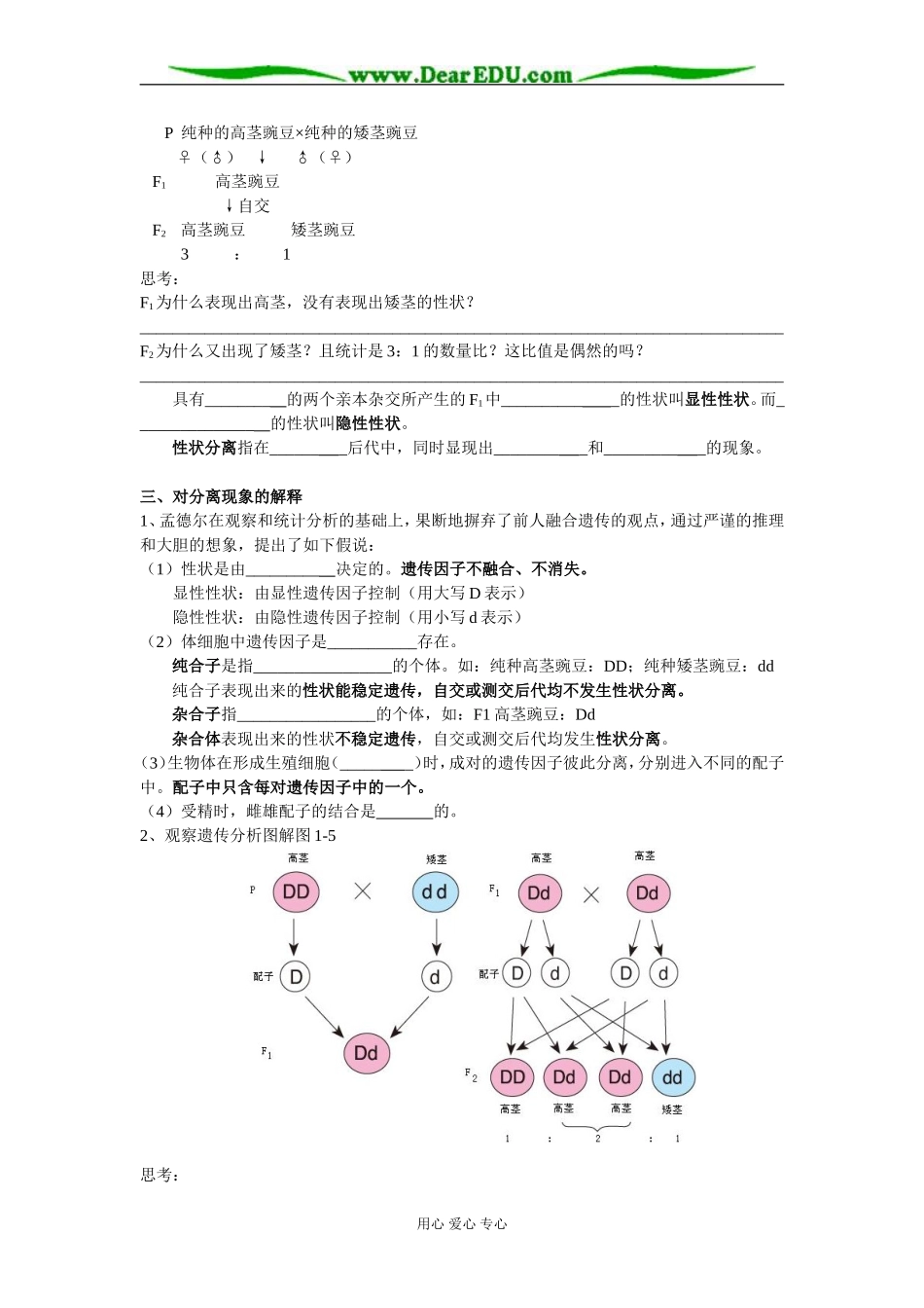 [人教版] 广东省深圳坪山高级中学高中生物必修II学案(全套）人教版_第2页