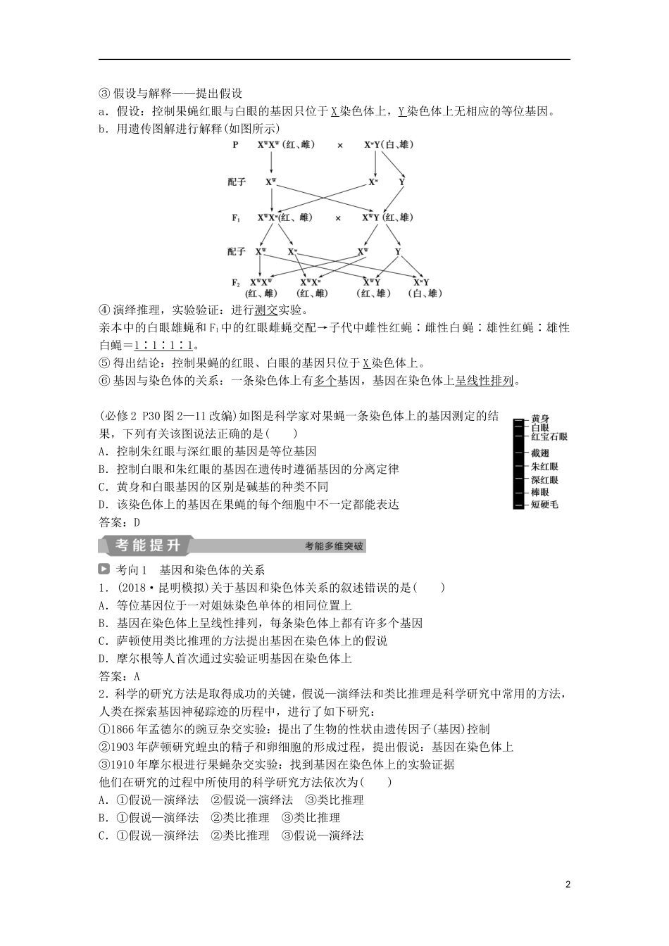 高考生物一轮复习 第五单元 遗传的基本规律与伴性遗传 第17讲 基因在染色体上、伴性遗传学案-人教版高三全册生物学案_第2页