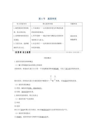 高中生物 第5章 基因突变及其他变异 第1节 基因突变学案 新人教版必修2-新人教版高一必修2生物学案