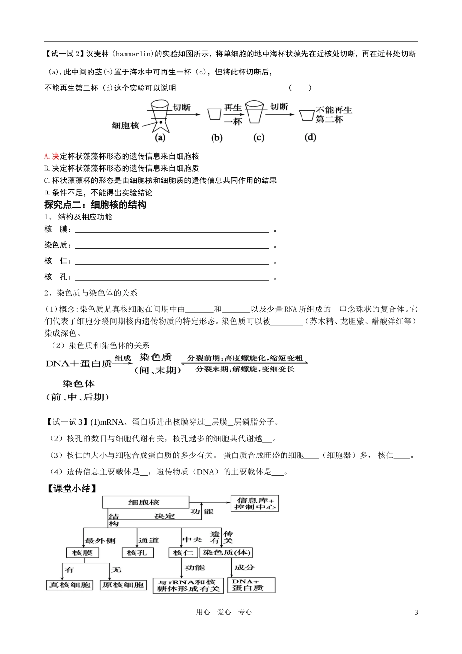高一生物 3.3《细胞核—系统的控制中心》教学案 新人教版必修1_第3页