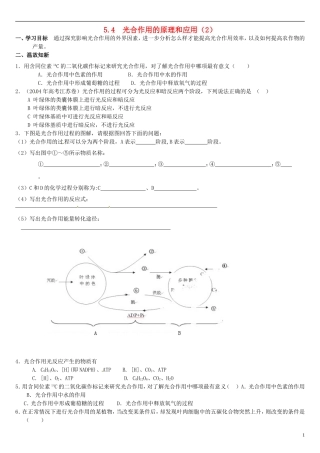 高中生物 5.4第2课时 光合作用的原理和应用（2）学案 新人教版必修1-新人教版高一必修1生物学案
