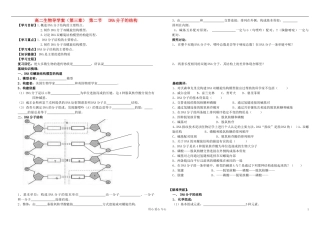 高中生物 DNA分子结构导学 新人教版必修2
