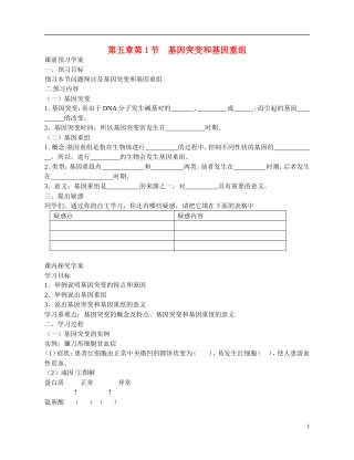 高中生物 《基因突变和基因重组》导学案 新人教版必修2