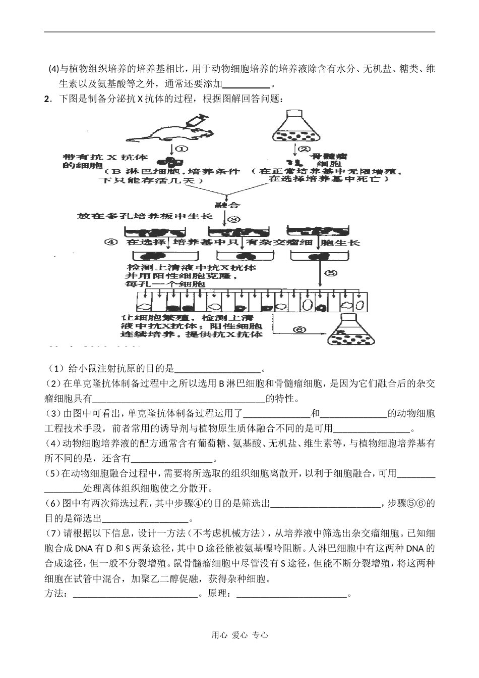 高考生物一轮复习学案 细胞工程_第3页
