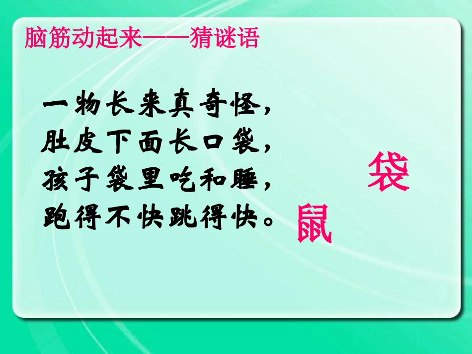 小白兔和小灰兔-自制_第2页