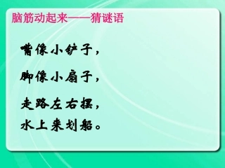 小白兔和小灰兔-自制