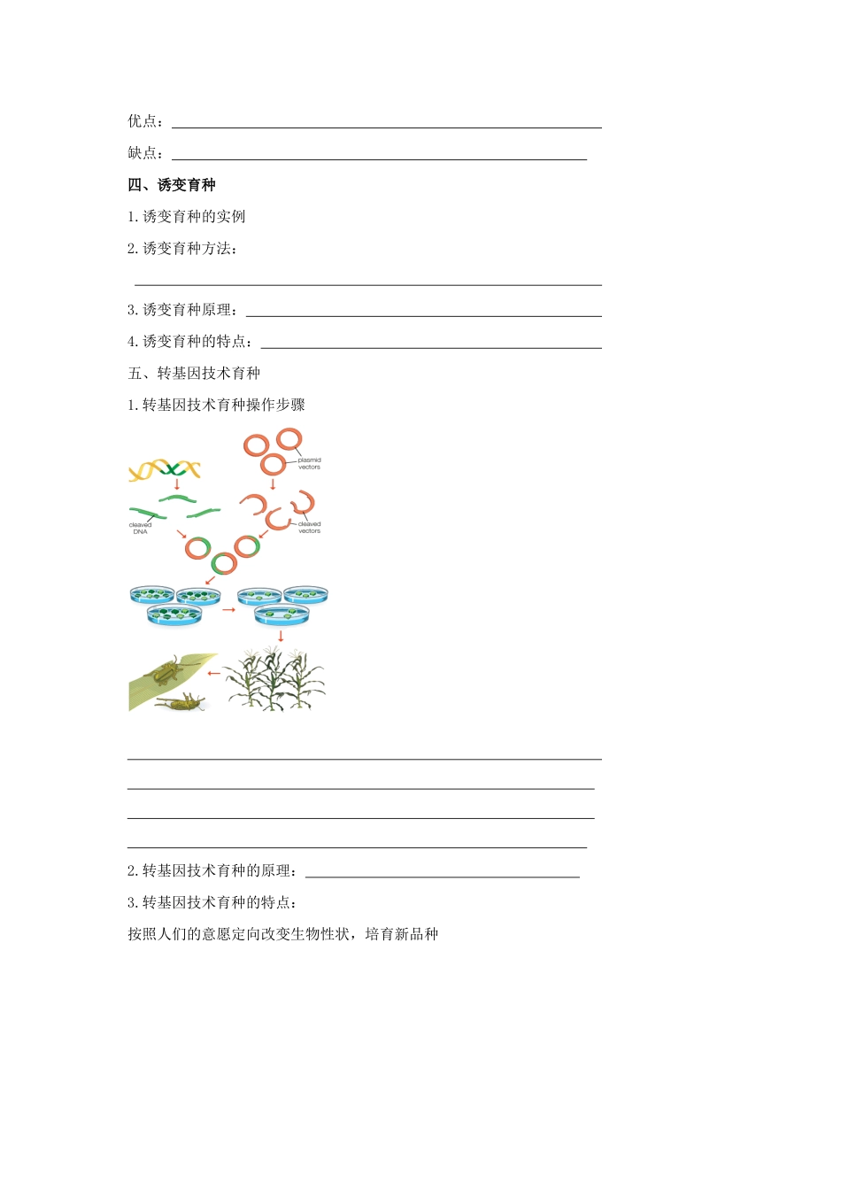 高考生物专题复习 4育种学案-人教版高三全册生物学案_第3页