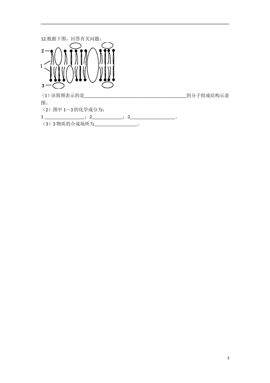 高中生物 第4章　细胞的物质输入和输出第2节《生物膜的流动镶嵌模型》参考学案 新人教版必修1_第3页
