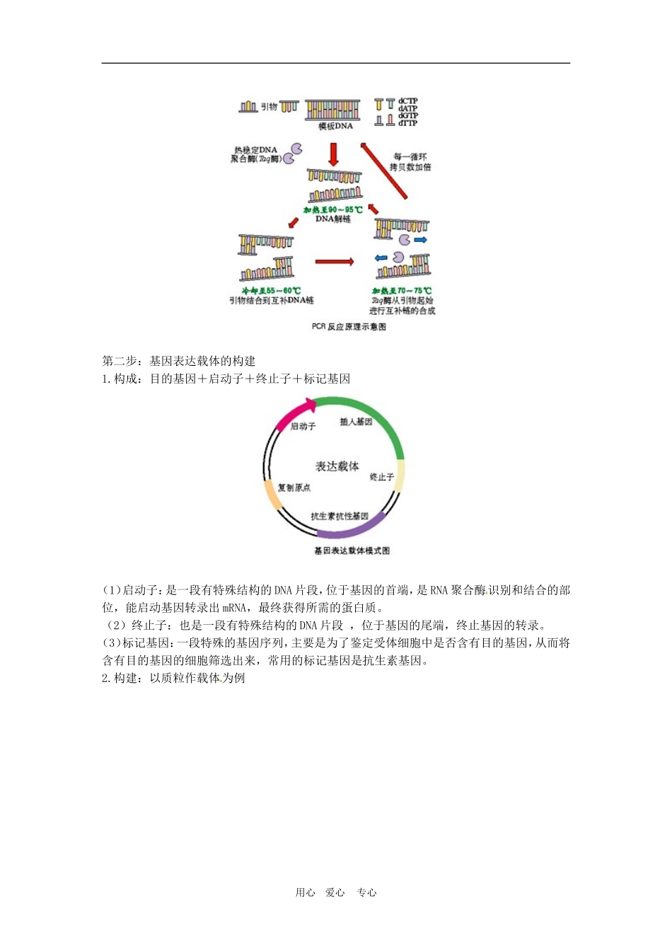 高三生物二轮专题复习基因工程精讲学案全国通用_第3页