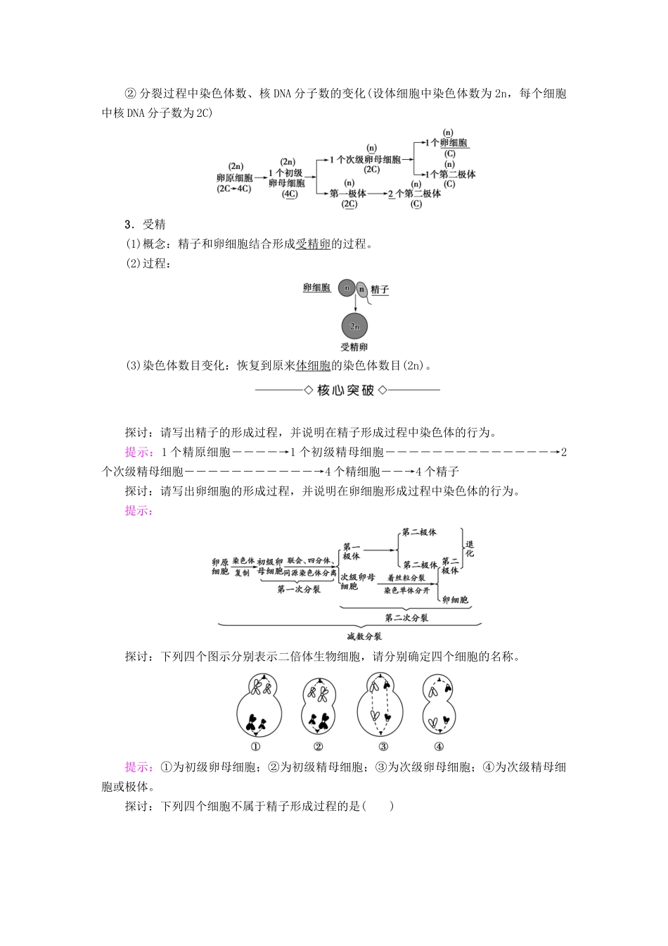 高中生物 第2章 染色体与遗传 第1节 减数分裂中的染色体行为（Ⅱ）学案 浙科版必修2-浙科版高一必修2生物学案_第2页