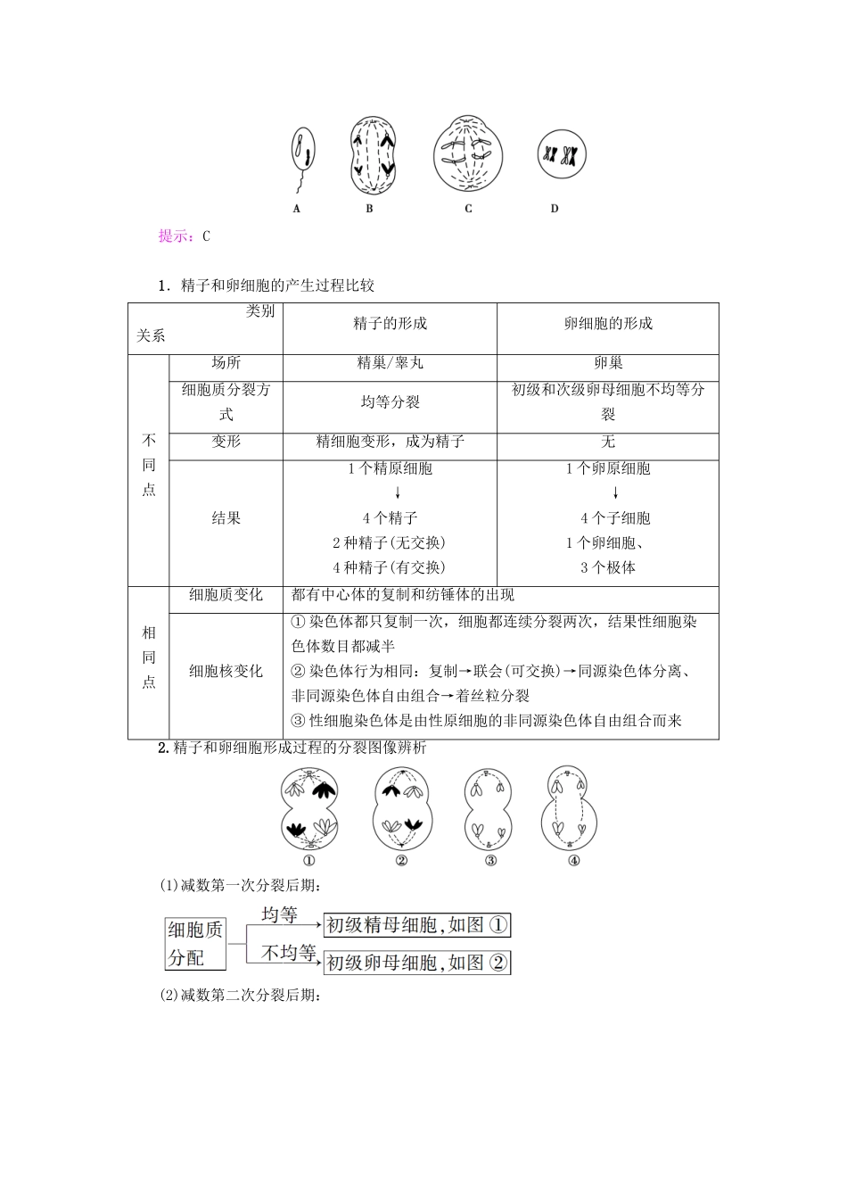 高中生物 第2章 染色体与遗传 第1节 减数分裂中的染色体行为（Ⅱ）学案 浙科版必修2-浙科版高一必修2生物学案_第3页