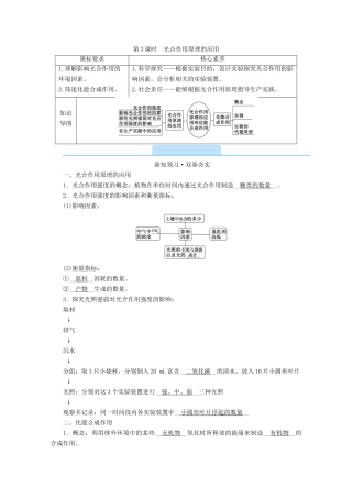 高中生物 第5章 细胞的能量供应和利用 第4节 光合作用与能量转化 第3课时 光合作用原理的应用学案 新人教版必修1-新人教版高中必修1生物学案