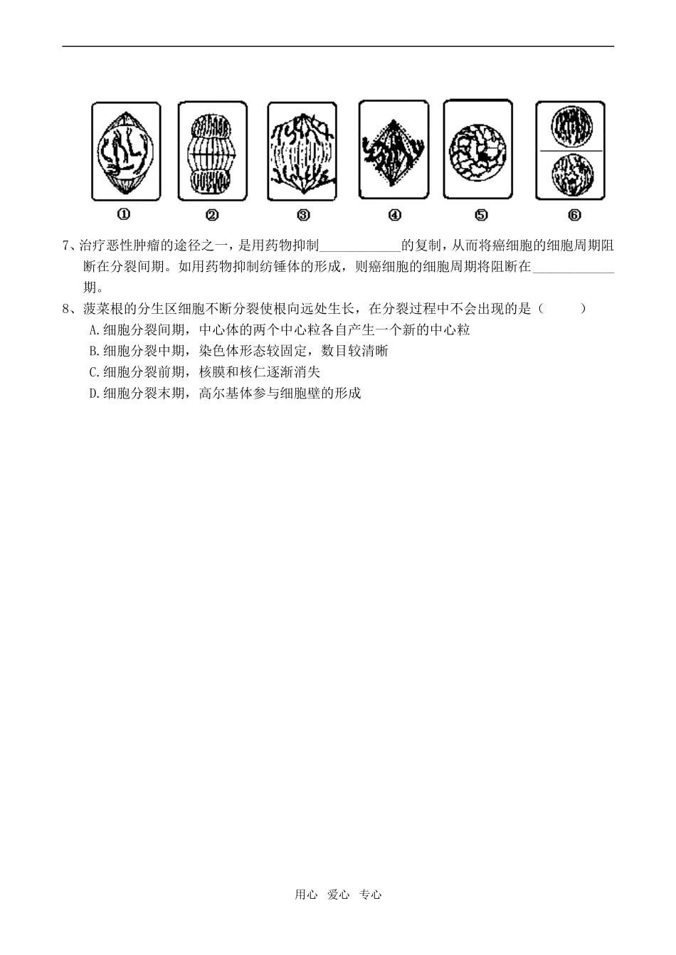 高一生物 细胞增殖学案必修1_第3页